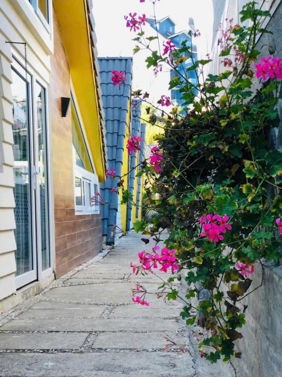 La Nha Homestay ダラット エクステリア 写真